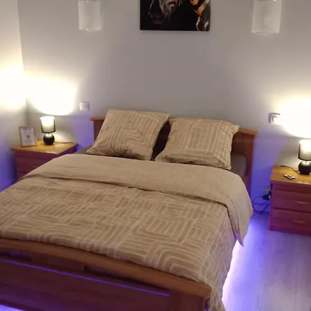 Homestay Conviviale Proche Futuroscope, Arena & Aquascope *