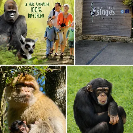 Homestay Conviviale Proche Futuroscope, Arena & Aquascope